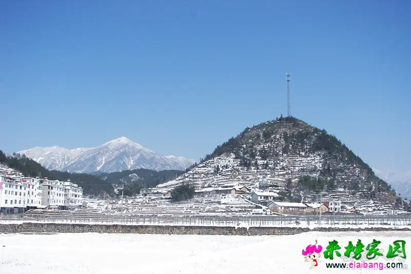 112538tq52dsstdz1d28sz.webp