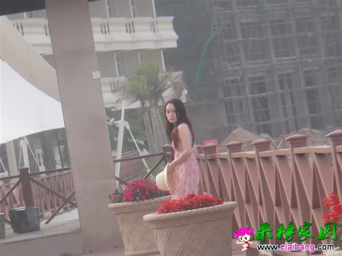 8.webp