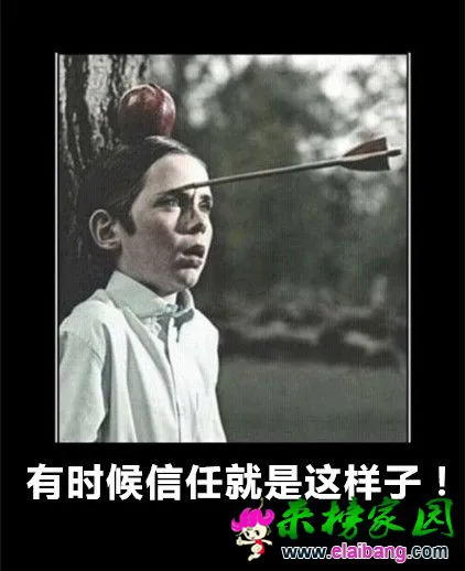 7.webp