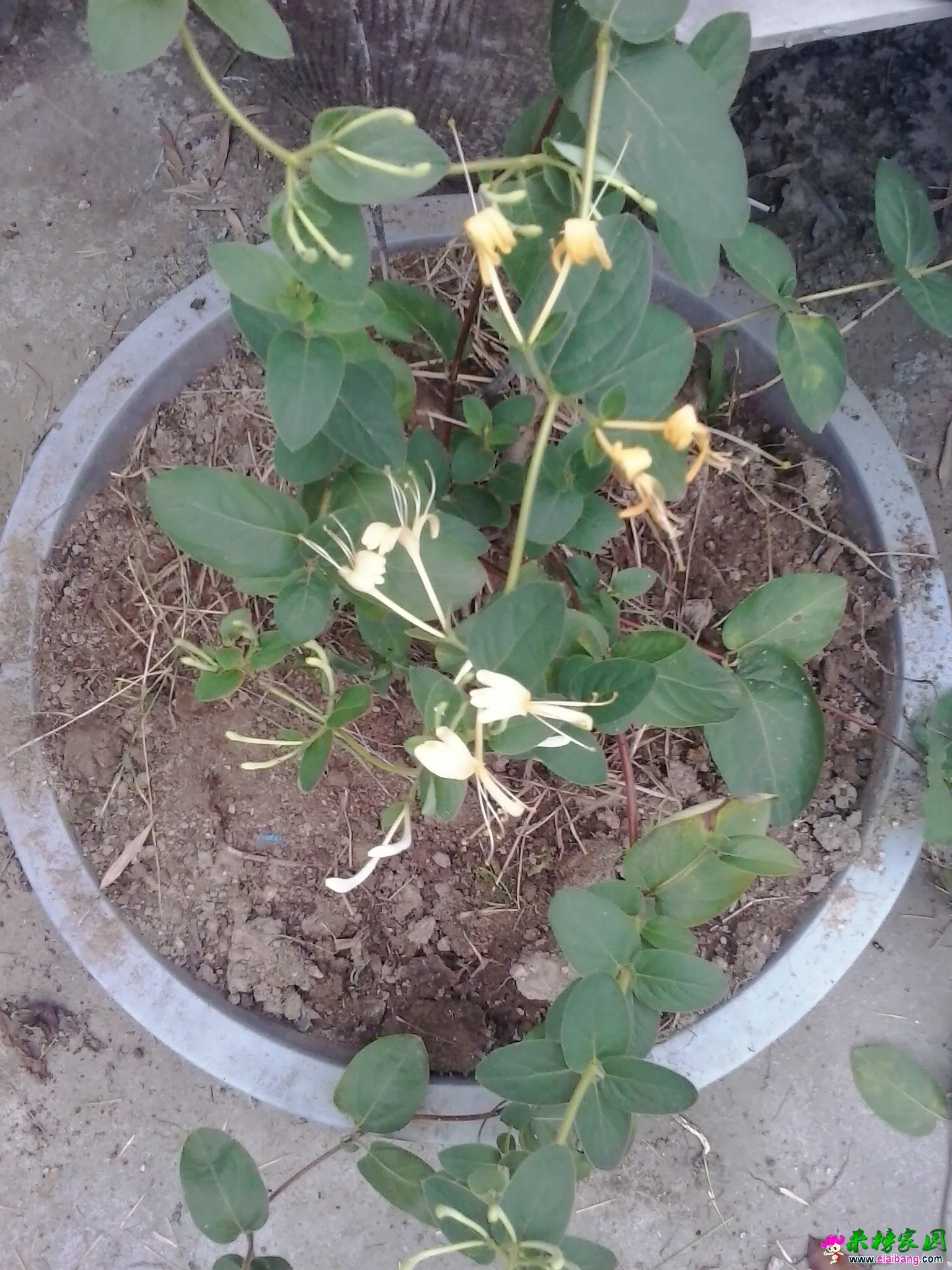 20140622_173001.webp