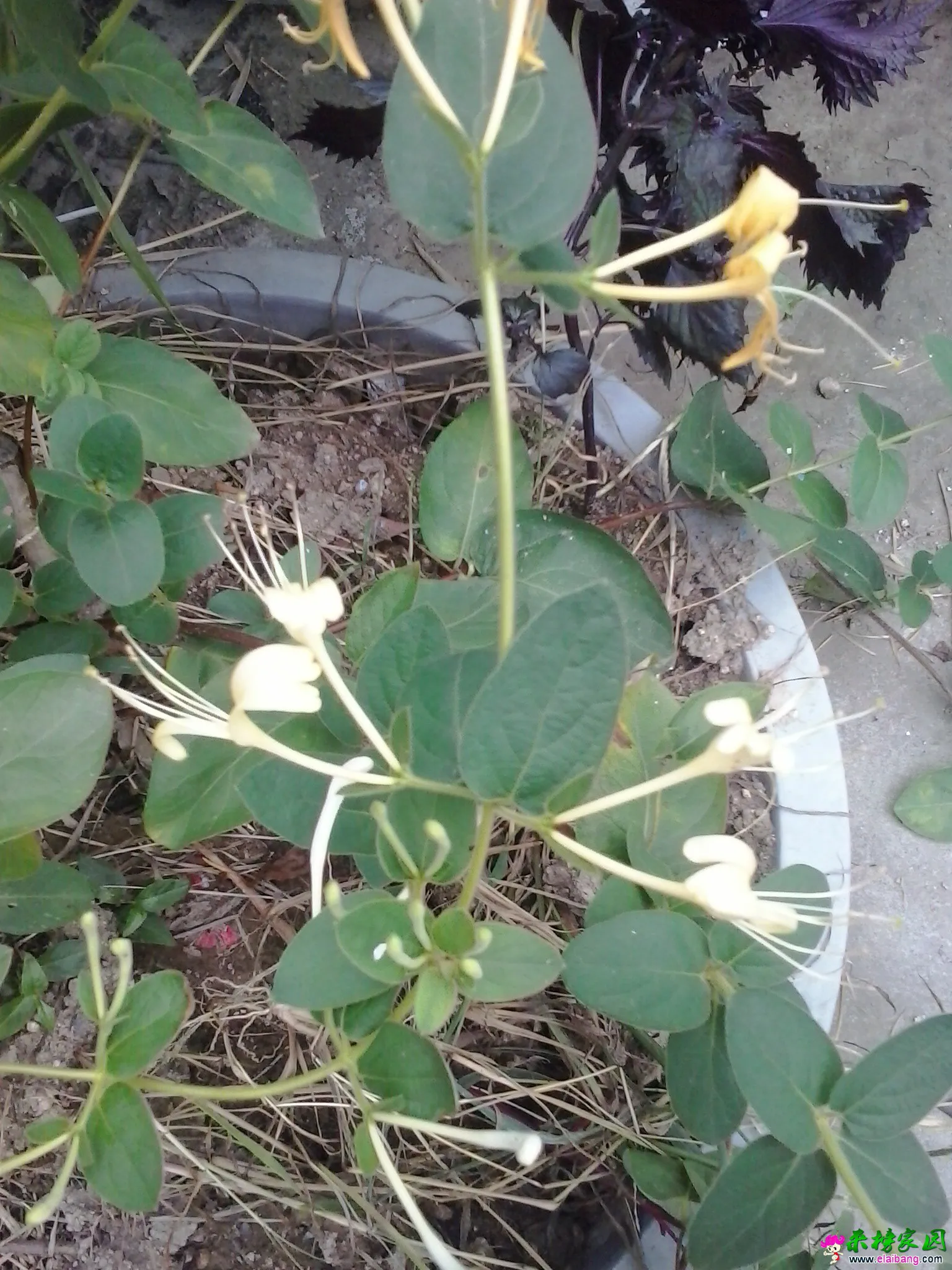 20140622_172634.webp