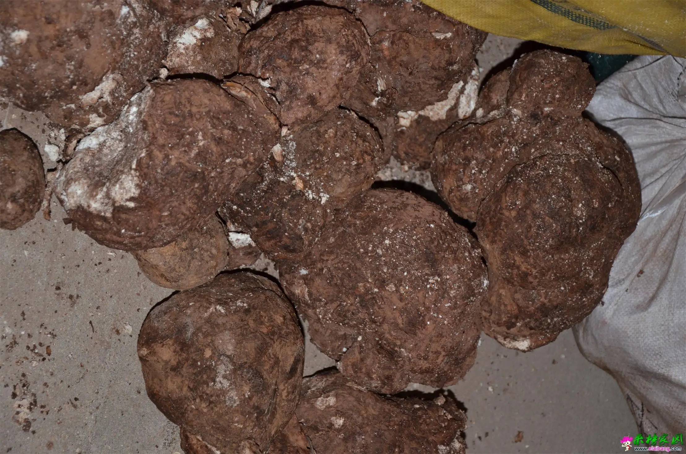 2014311160646587.webp