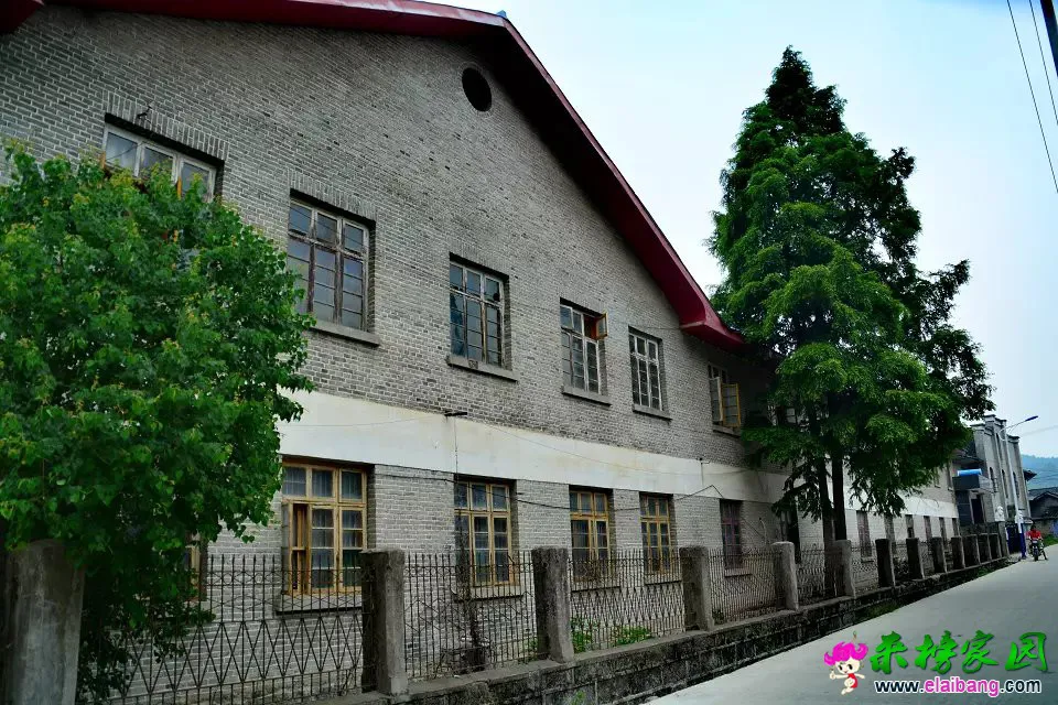 psb (246).webp