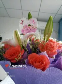 psb2.webp