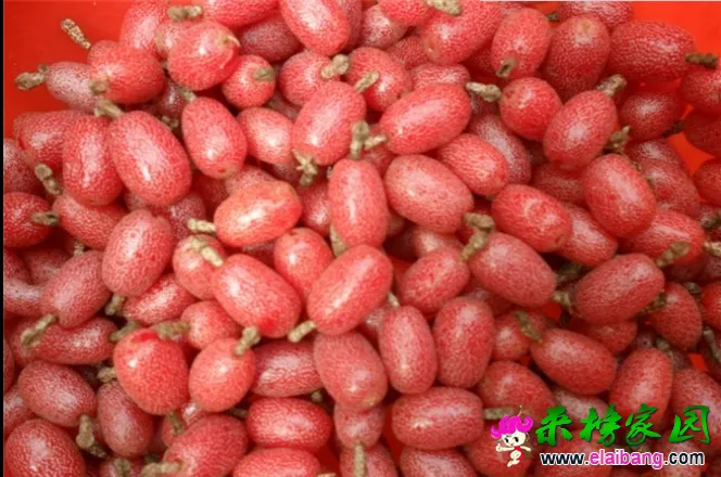 QQ截图20140628135834.webp