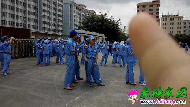 106698843.webp