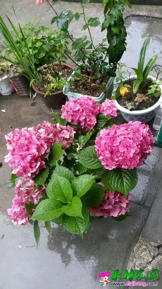 QQ图片2014070219372588.webp