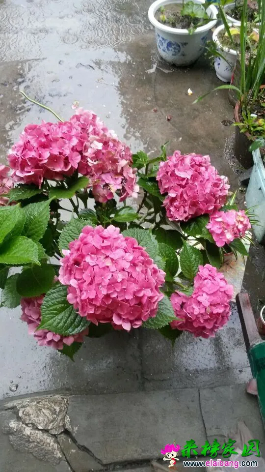 QQ图片2014070219373899.webp