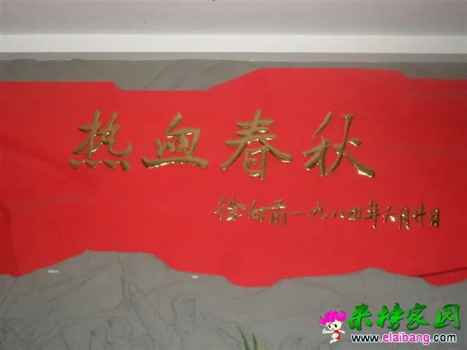 psb (10).webp