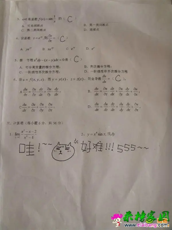 017.webp