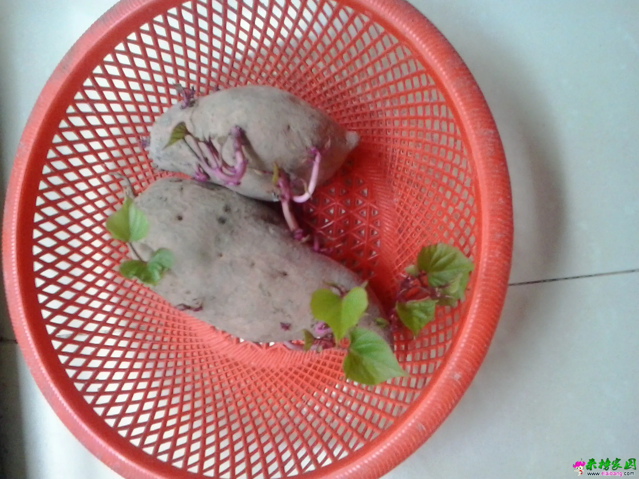20140711_114626.webp