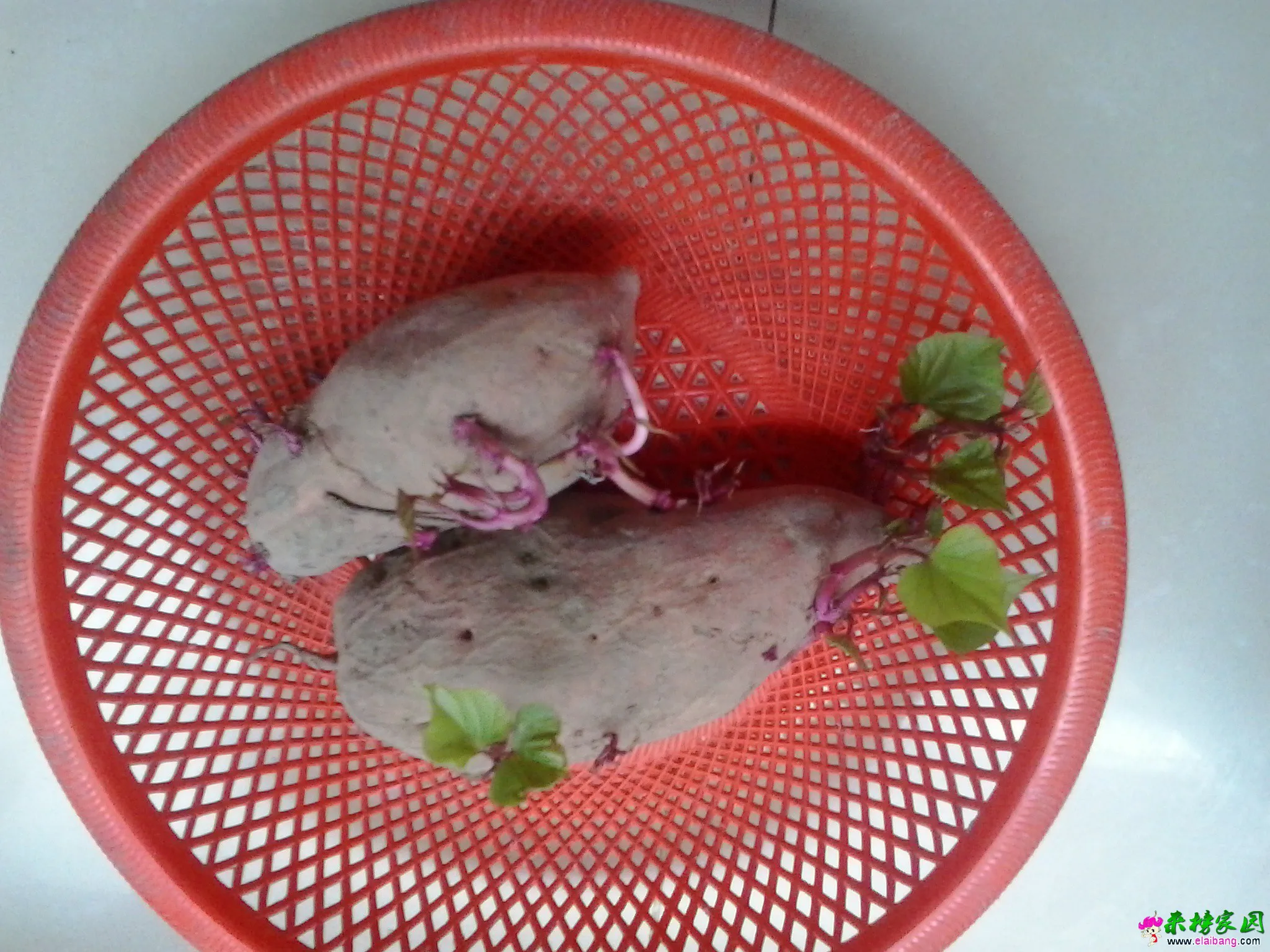20140711_114610.webp