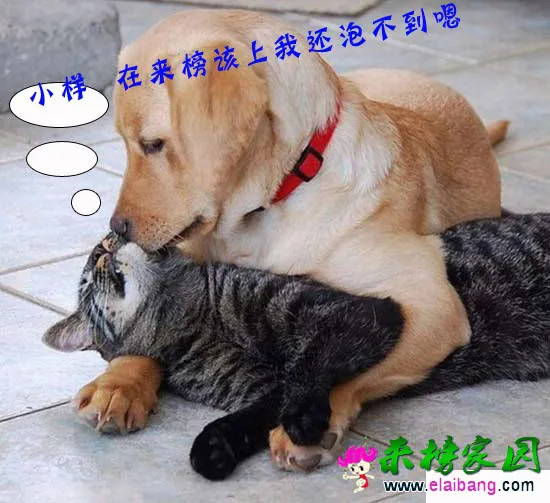 改3.webp