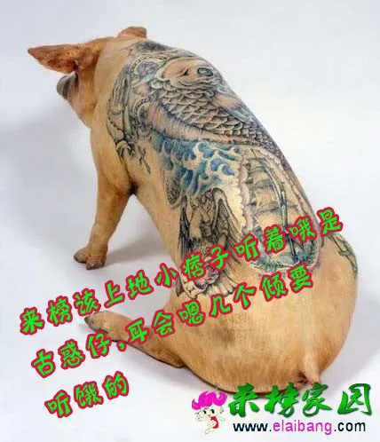 改一.webp