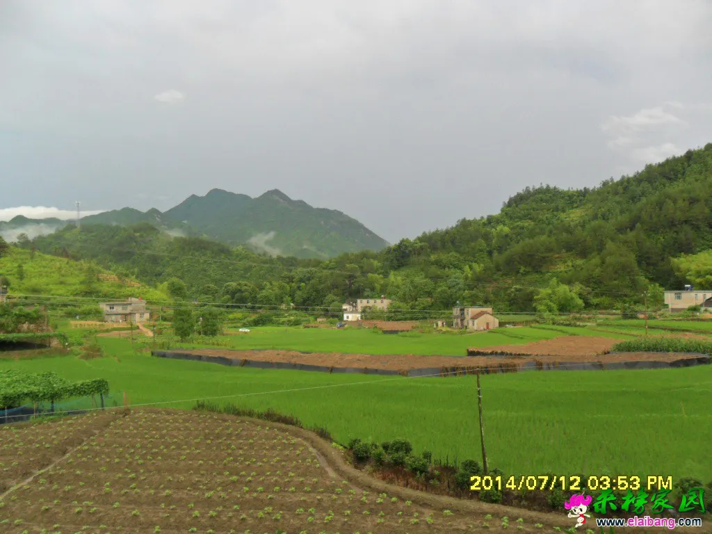 SAM_1283.webp