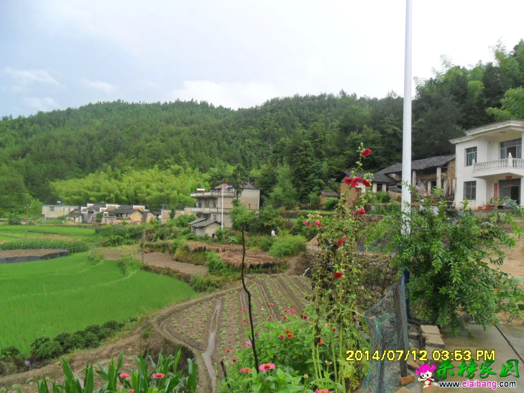 SAM_1284.webp