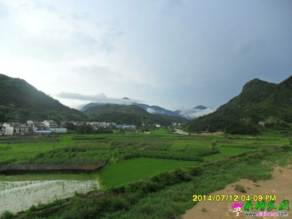 SAM_1288.webp