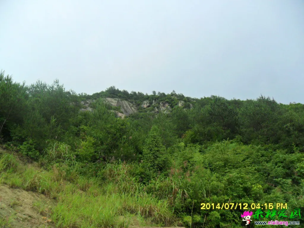 SAM_1293.webp