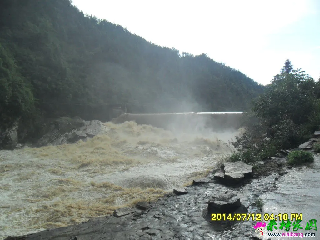SAM_1294.webp