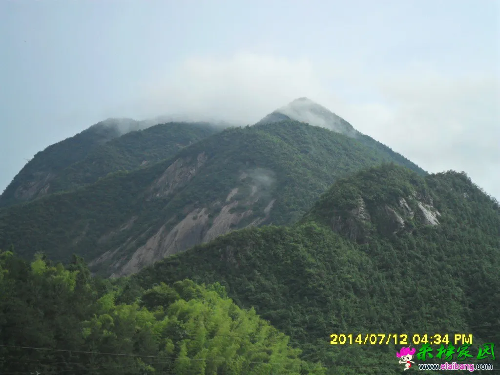 SAM_1304.webp