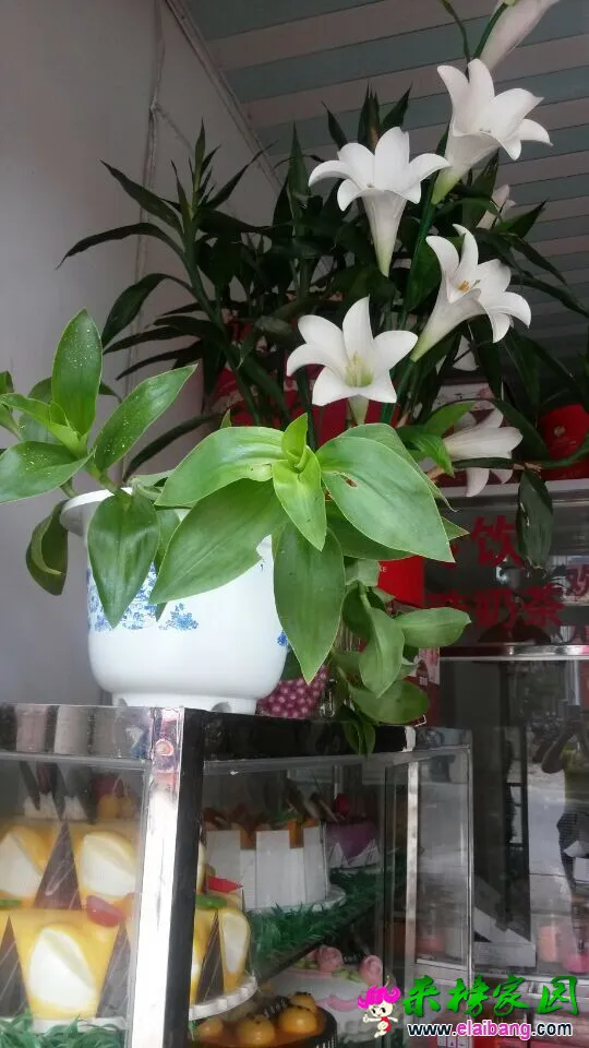 QQ图片20140714040008222222.webp