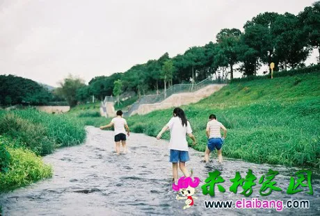 460.webp