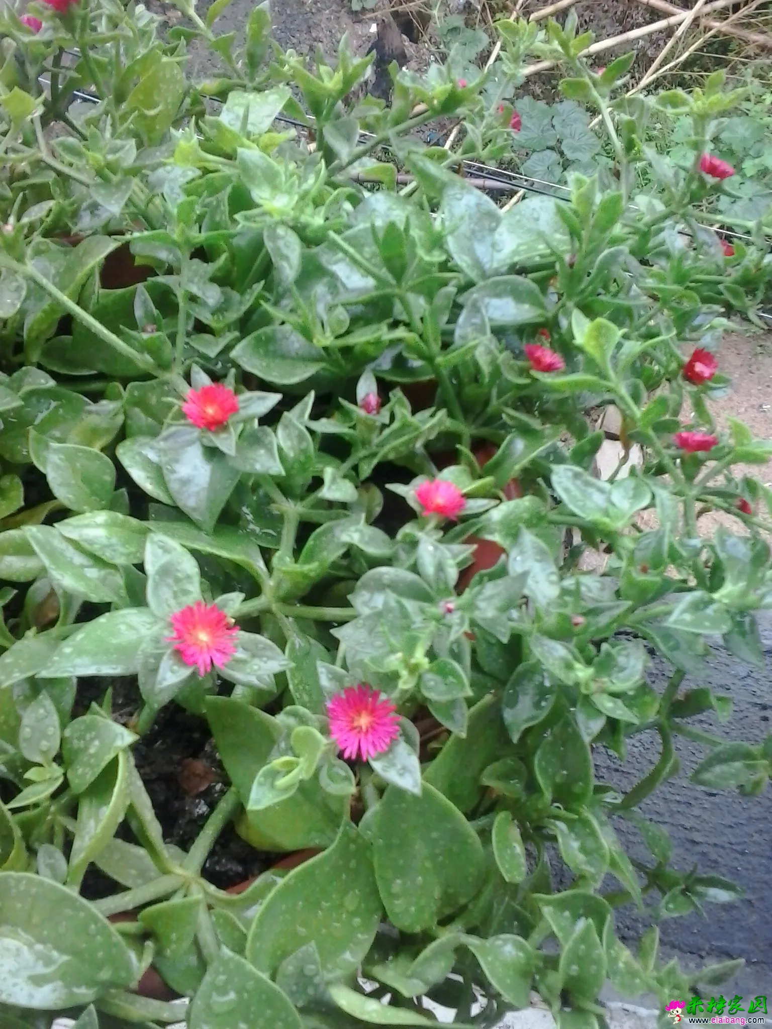 QQ图片20140715084802.webp