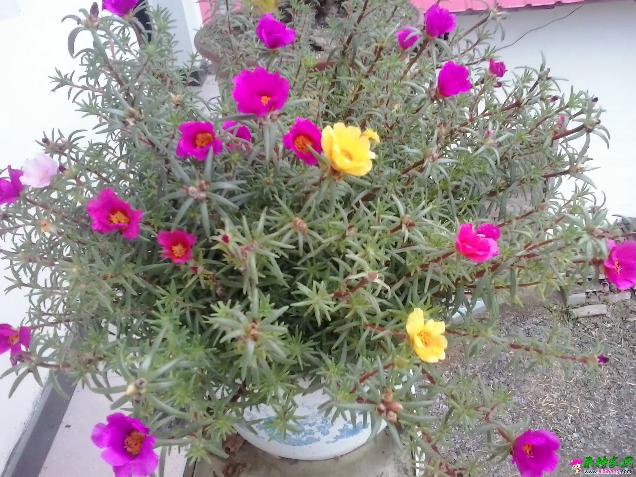 QQ图片20140715084826.webp