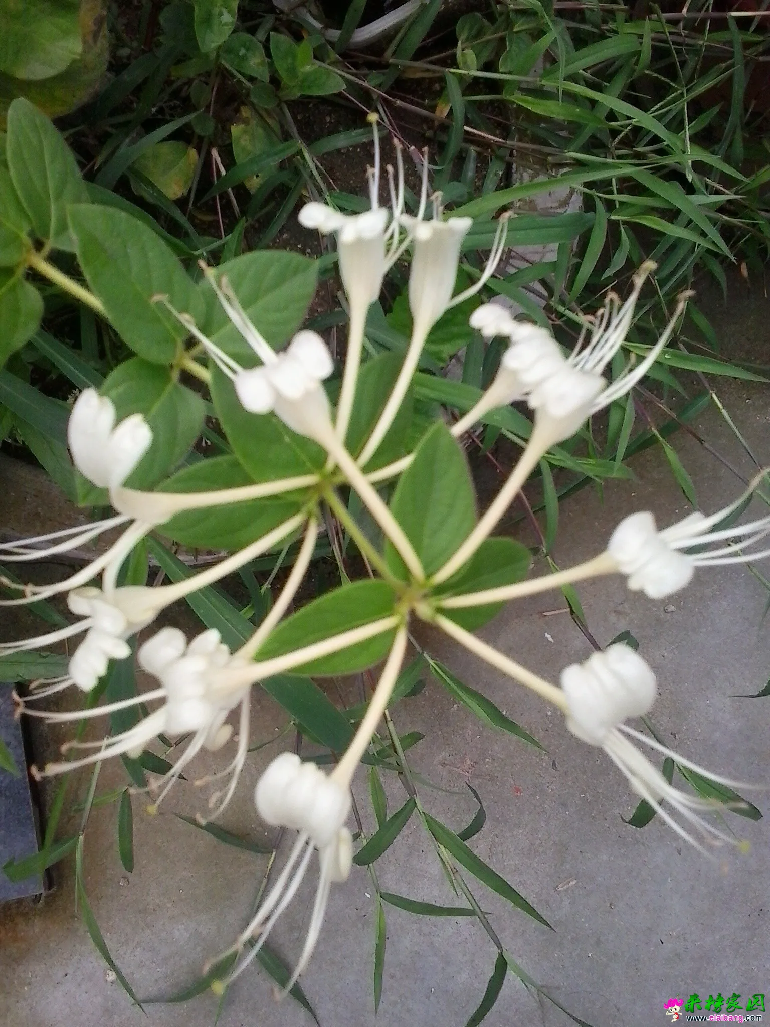 QQ图片20140715084830.webp