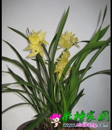 QQ截图20140714161710.webp