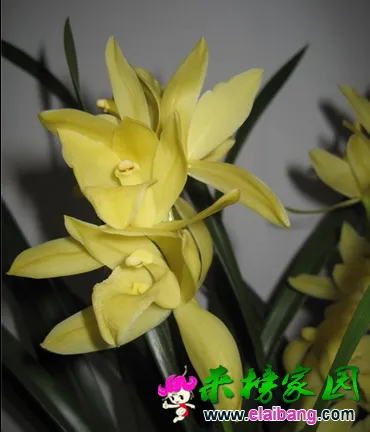 QQ截图20140714161220.webp