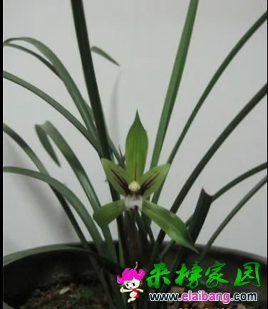 QQ截图20140714161418.webp