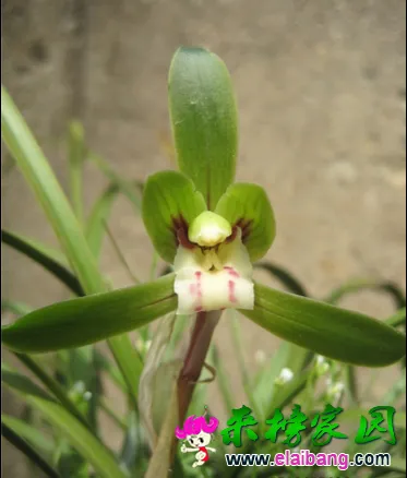QQ截图20140714161443.webp