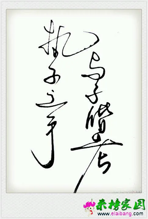 2000 (3).webp