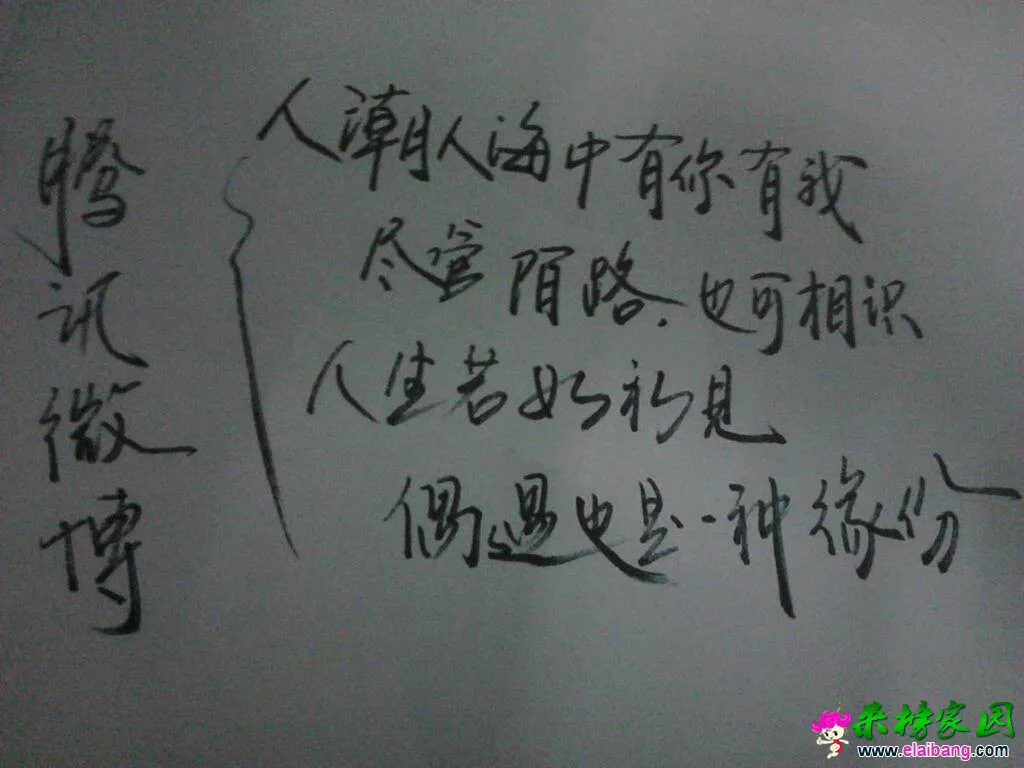 2000 (6).webp
