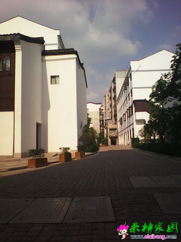 psb4444.webp