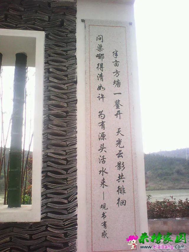 psbCA0J44M1.webp