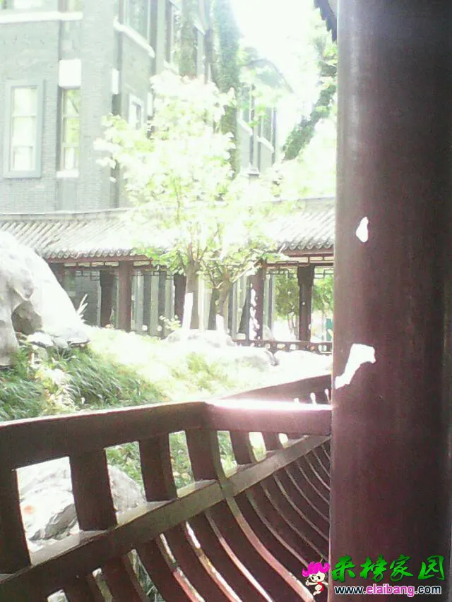 psbCACW31JJ.webp