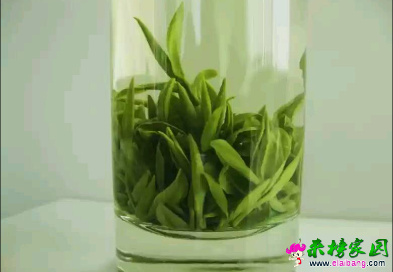 QQ截图20140717083312.png