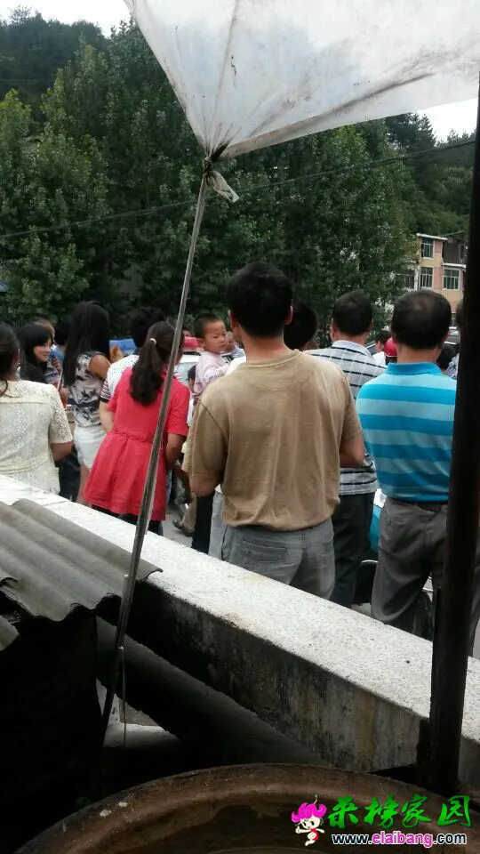 QQ图片20140717174828.webp