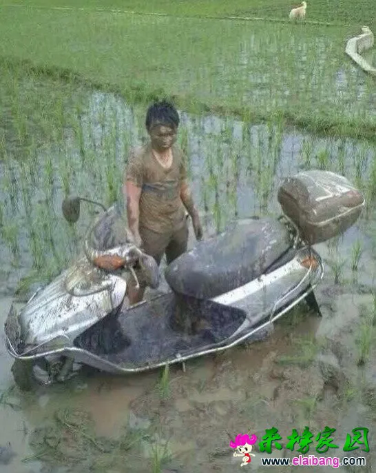 QQ图片20140718143330.webp