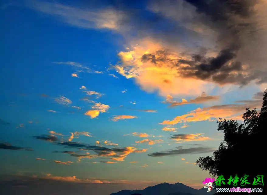 psb (23).webp