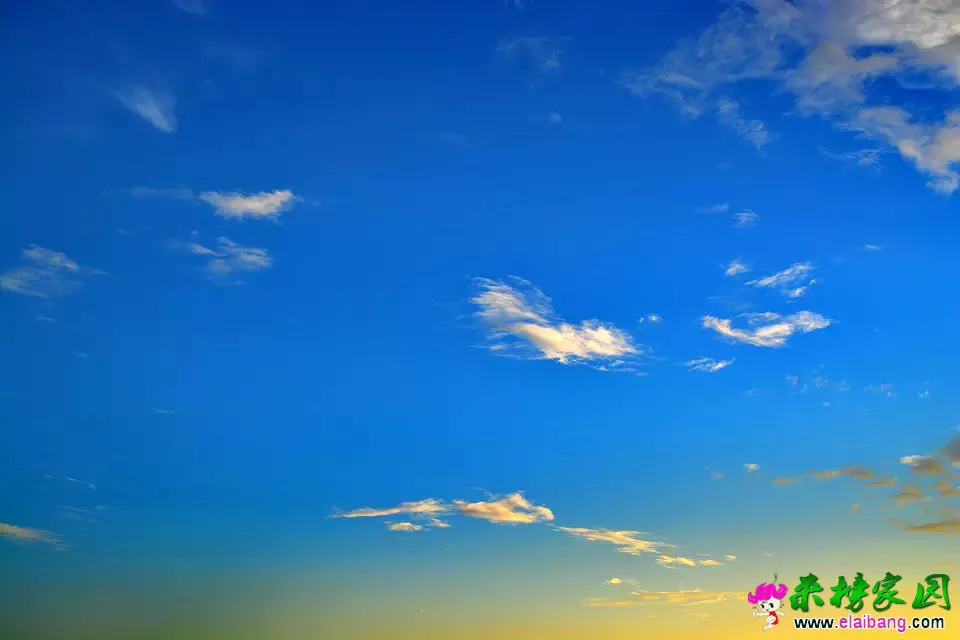 psb (22).webp