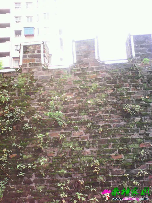 psbCAMCXTND.webp