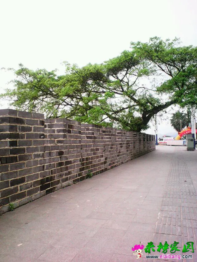 psbCAN9T992.webp
