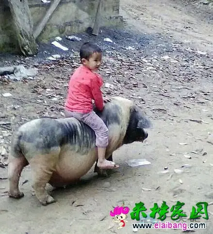 0efe99b5fdd3d0c6.webp