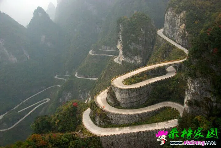 QQ图片20140724183735.webp