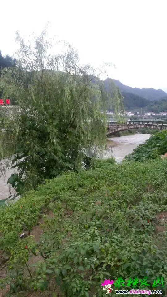 QQ图片2014072020010111.webp
