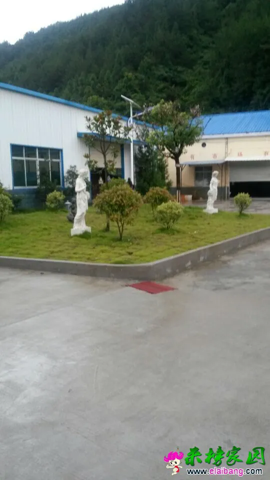 QQ图片2014072020011833.webp