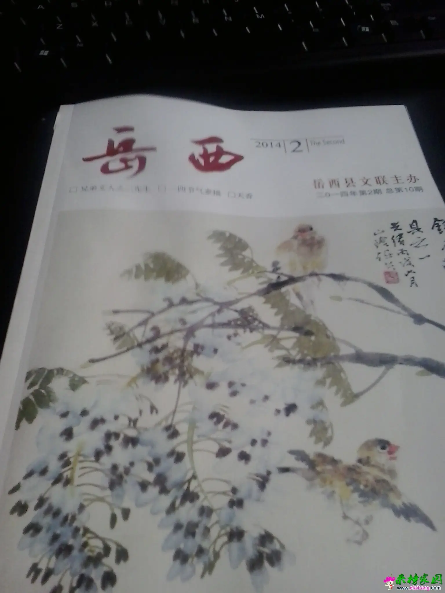 20140726_163346.webp